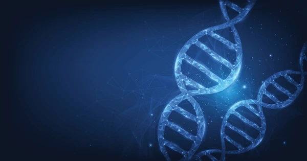 Hospital-Grade Accuracy, Home-Base Convenience.