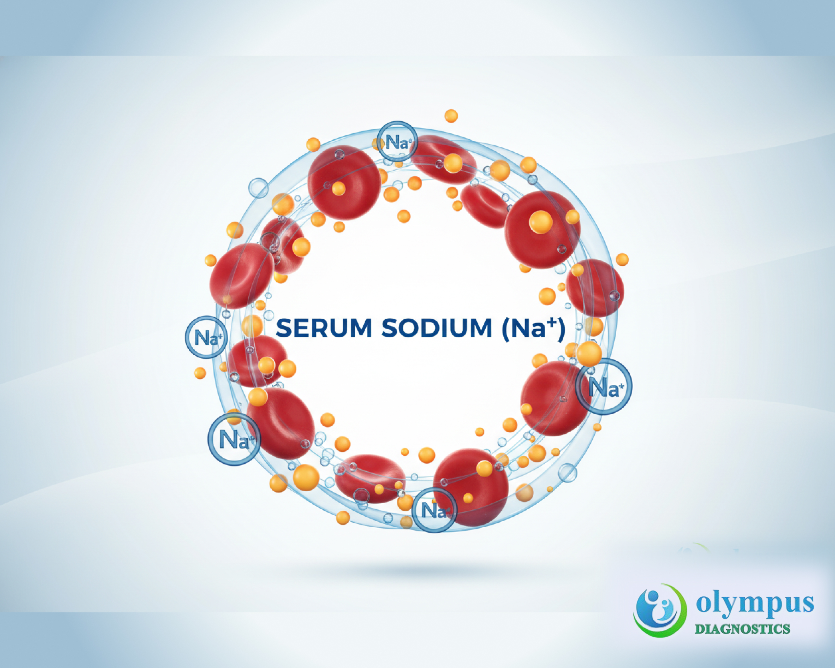 SERUM SODIUM (Na+)
