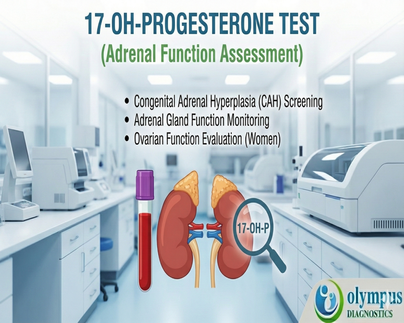 17-OH-PROGESTERONE