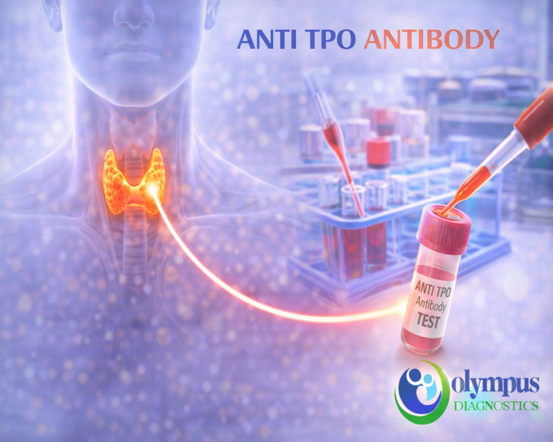 ANTI TPO ANTIBODY