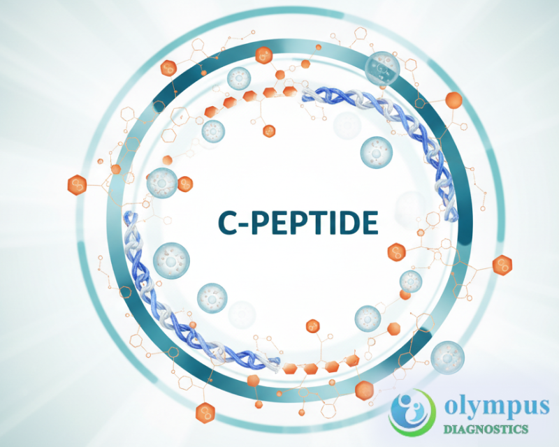 C-Peptide