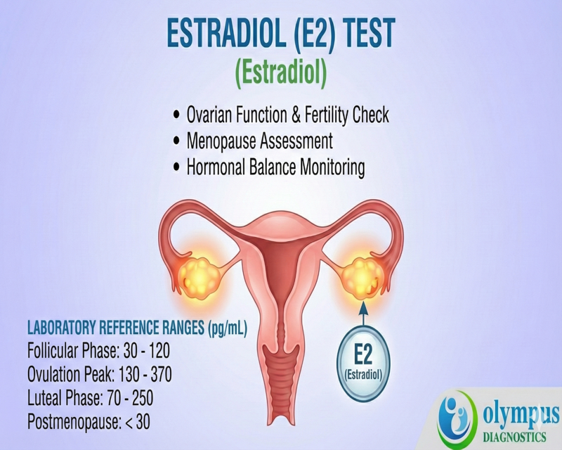 ESTRADIOL 