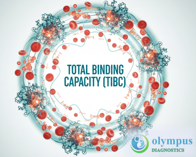 TOTAL IRON BINDING CAPACITY (TIBC)