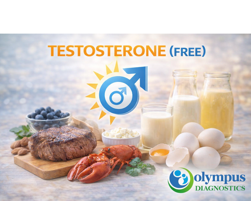 TESTOSTERONE ( FREE )